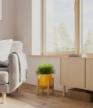 Load image into Gallery viewer, Mustard stand:bamboo
