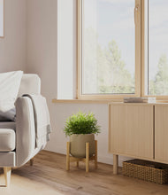 Load image into Gallery viewer, Olive stand:bamboo
