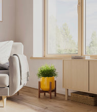 Load image into Gallery viewer, Mustard stand:walnut
