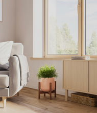 Load image into Gallery viewer, Calm Rose stand:walnut
