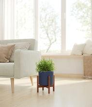 Load image into Gallery viewer, Deep Navy stand:walnut
