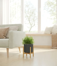 Load image into Gallery viewer, Dark Olive stand:bamboo
