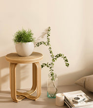 Load image into Gallery viewer, Shiny EggWhite
