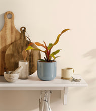 Load image into Gallery viewer, Misty Blue
