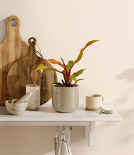 Load image into Gallery viewer, Sage Green
