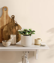 Load image into Gallery viewer, Natural Bamboo
