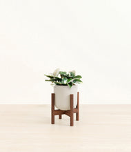 Load image into Gallery viewer, Natural Bamboo stand:walnut
