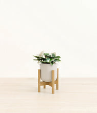 Load image into Gallery viewer, Natural Bamboo stand:bamboo
