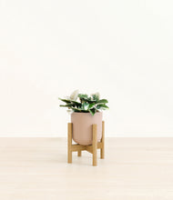 Load image into Gallery viewer, Sandy Pink stand:bamboo
