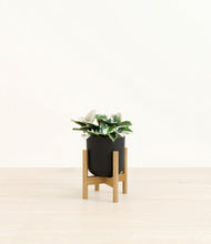 Load image into Gallery viewer, Stone Black stand:bamboo
