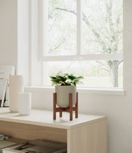 Load image into Gallery viewer, Sage Green stand:walnut

