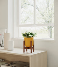 Load image into Gallery viewer, Sunset Orange stand:walnut
