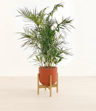 Load image into Gallery viewer, Earth Red stand:bamboo
