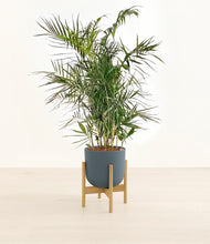 Load image into Gallery viewer, Iron Gray stand:bamboo
