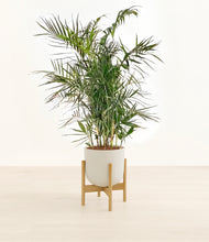 Load image into Gallery viewer, Natural Bamboo stand:bamboo
