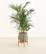 Load image into Gallery viewer, Sage Green stand:bamboo
