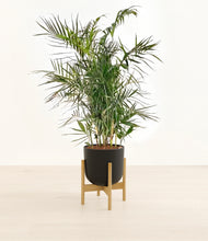 Load image into Gallery viewer, Stone Black stand:bamboo
