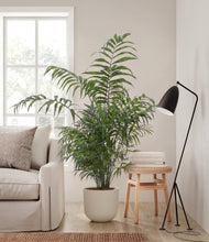 Load image into Gallery viewer, Natural Bamboo
