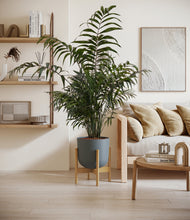 Load image into Gallery viewer, Iron Gray stand:light

