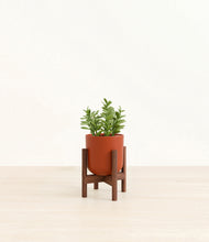 Load image into Gallery viewer, Earth Red stand:walnut
