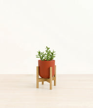 Load image into Gallery viewer, Earth Red stand:bamboo
