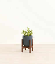Load image into Gallery viewer, Iron Gray stand:walnut
