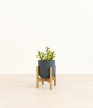 Load image into Gallery viewer, Natural Bamboo stand:bamboo
