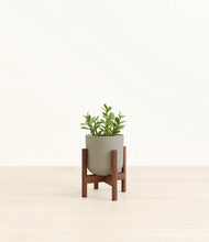 Load image into Gallery viewer, Sage Green stand:walnut
