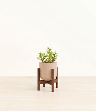 Load image into Gallery viewer, Sandy Pink stand:walnut
