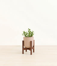 Load image into Gallery viewer, Sandy Pink stand:walnut
