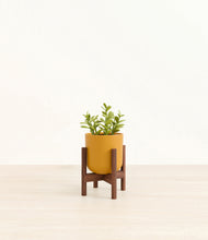 Load image into Gallery viewer, Sunset Orange stand:walnut
