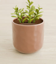 Load image into Gallery viewer, Hammered Peach Pink stand:all
