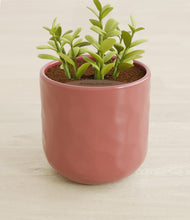 Load image into Gallery viewer, Hammered Rose Pink stand:all

