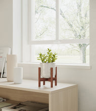 Load image into Gallery viewer, Hammered Ivory stand:walnut
