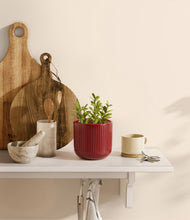 Load image into Gallery viewer, Striped Cherry Red

