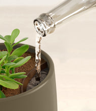 Load image into Gallery viewer, Olive stand:all
