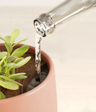 Load image into Gallery viewer, Calm Rose stand:all
