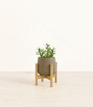 Load image into Gallery viewer, Olive stand:bamboo
