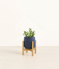 Load image into Gallery viewer, Deep Navy stand:bamboo
