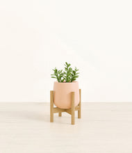 Load image into Gallery viewer, Gentle Pink stand:bamboo
