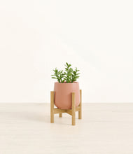 Load image into Gallery viewer, Calm Rose stand:bamboo
