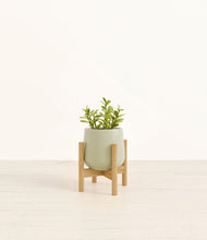 Load image into Gallery viewer, Turquoise stand:bamboo
