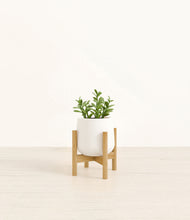 Load image into Gallery viewer, White stand:bamboo
