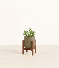 Load image into Gallery viewer, Olive stand:walnut
