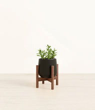 Load image into Gallery viewer, Black stand:walnut
