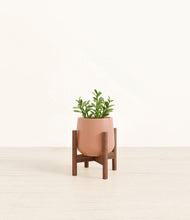 Load image into Gallery viewer, Calm Rose stand:walnut
