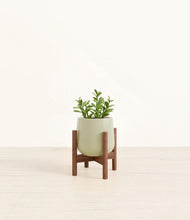 Load image into Gallery viewer, Turquoise stand:walnut
