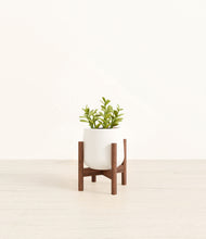 Load image into Gallery viewer, White stand:walnut
