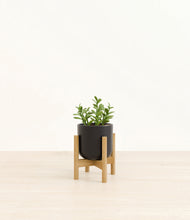 Load image into Gallery viewer, Stone Black stand:bamboo
