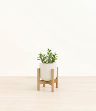 Load image into Gallery viewer, Cotton White stand:bamboo
